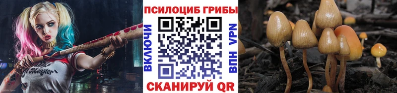 что такое наркотик  Ярославль  OMG маркетплейс  Галлюциногенные грибы Cubensis 