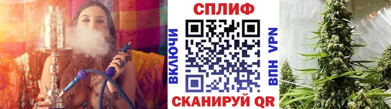 Канабис гибрид  как найти   Ярославль 